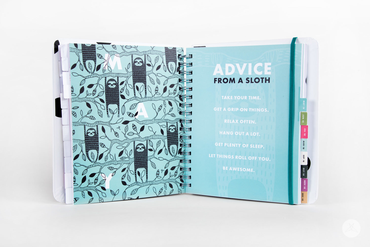 Limited 2017-2018 Daybook leggings - SweetLegs